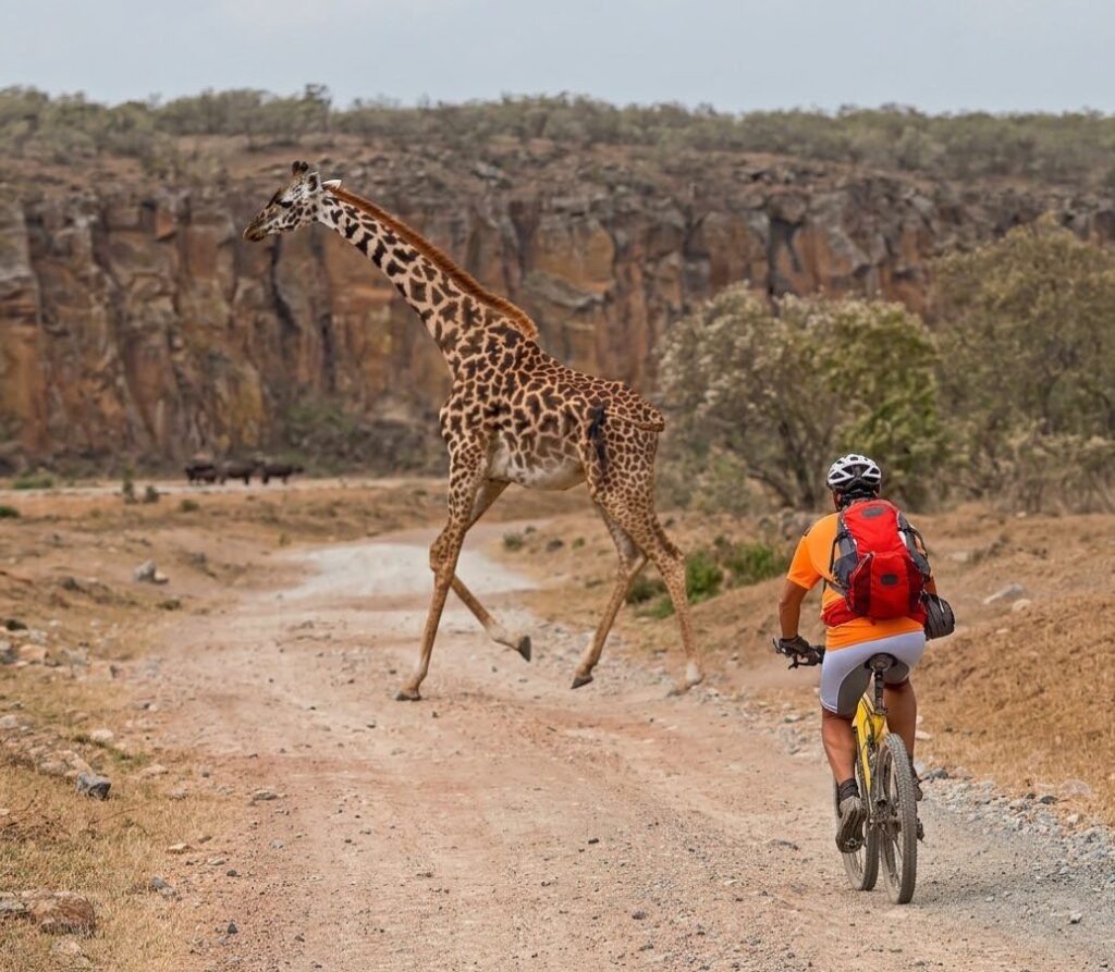 A person cycling in Hell's Gate