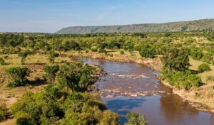 Plains of Masai Mara and river