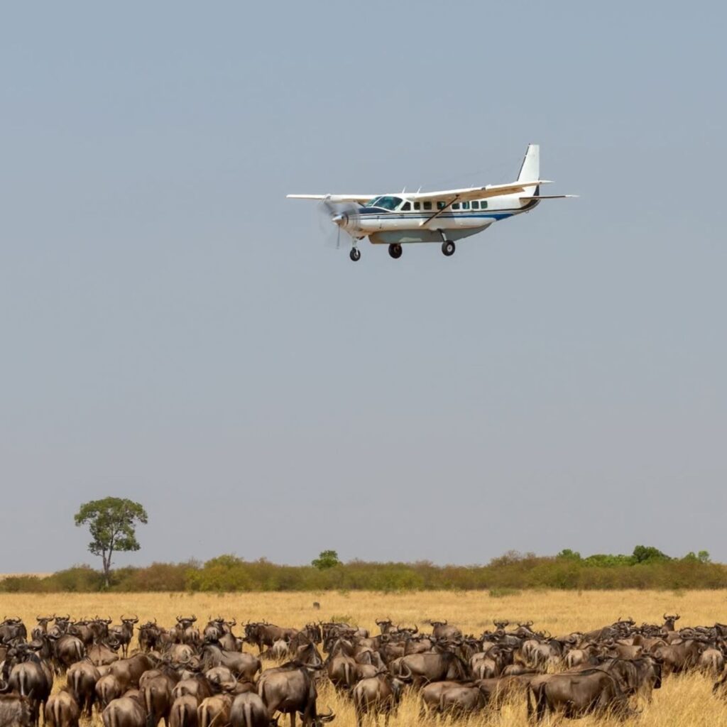 fly in safari Kenya