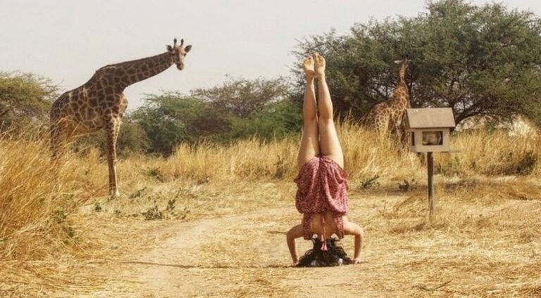 safari yoga retreat in Kenya