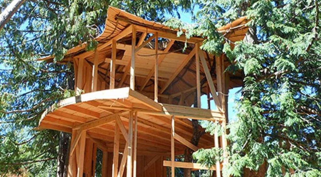 treehouse safari in kenya