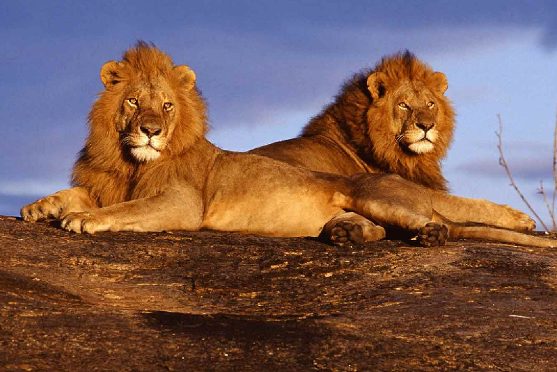 Tsavo National Park