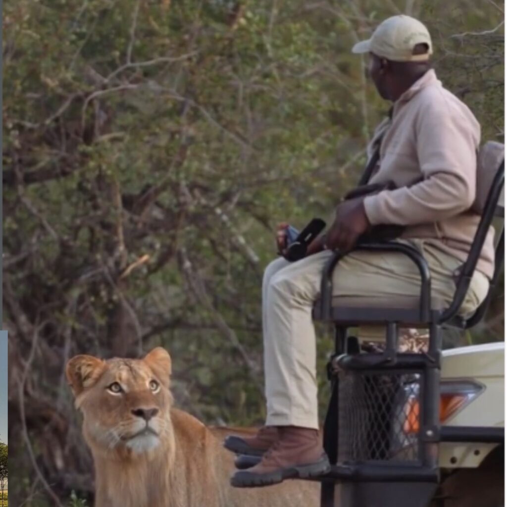 kenya safari budget tips