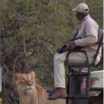 kenya safari budget tips