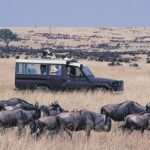 Kenya safari 10 day itinerary