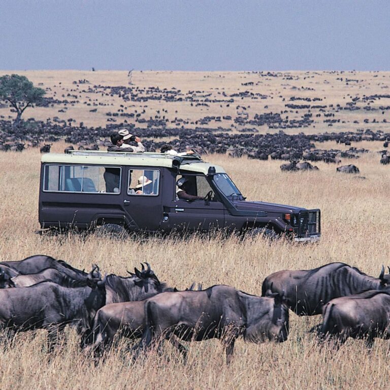 Kenya safari 10 day itinerary