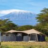 Luxury Tented Camp Kenya: What to Expect and Where to Stay
